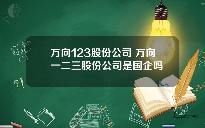 万向123股份公司 万向一二三股份公司是国企吗